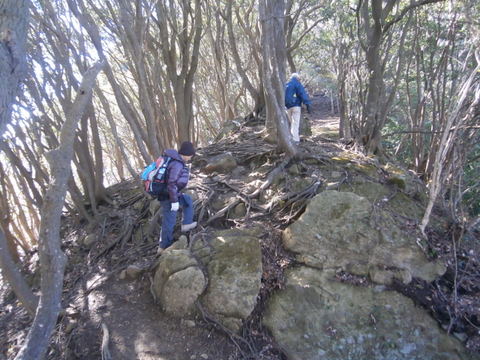 Hike is the president's hobby.