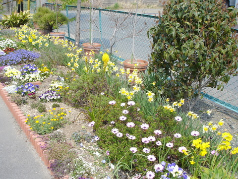 The view of the flower bed.